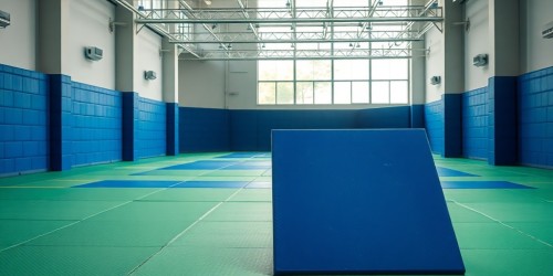 Como Escolher o Melhor Tatame para a Sua Academia de Jiu-Jitsu